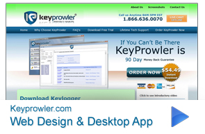 Tampa Web Design