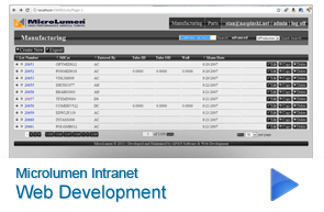 Tampa Web Design